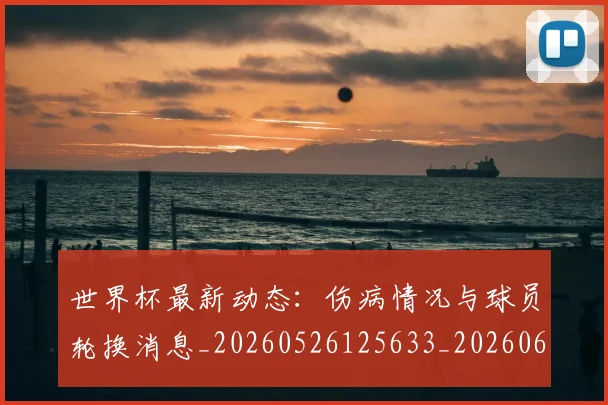 世界杯最新动态：伤病情况与球员轮换消息_20260526125633_20260607160515