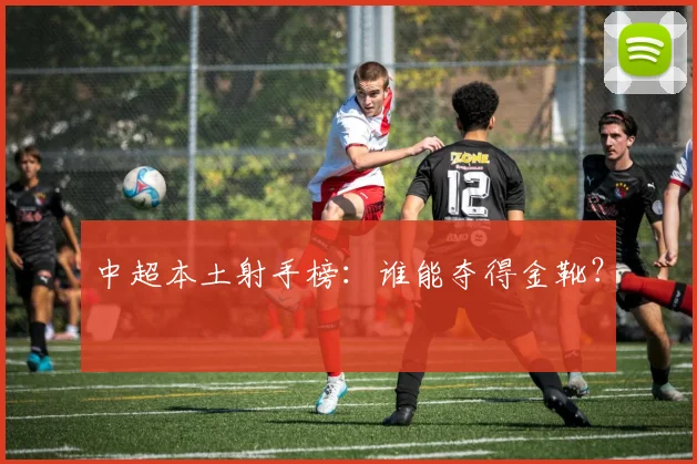 中超本土射手榜:谁能夺得金靴?